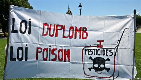 LA LOI DUPLOMB PARTIELLEMENT CENSURÉE : UN PIED DANS LA PORTE ?